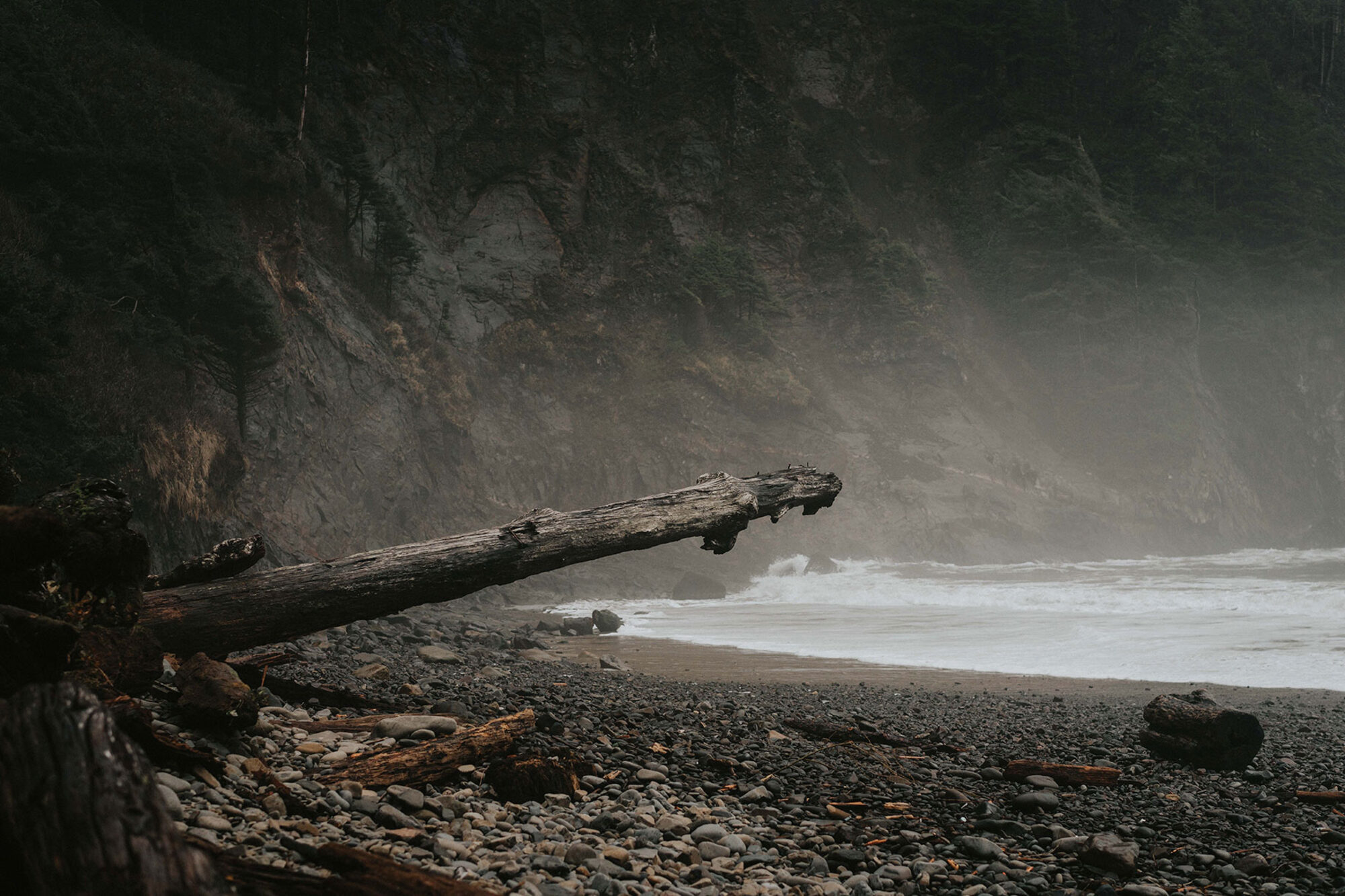 Misty Pacific Northwest shoreline of driftwood and smooth stones